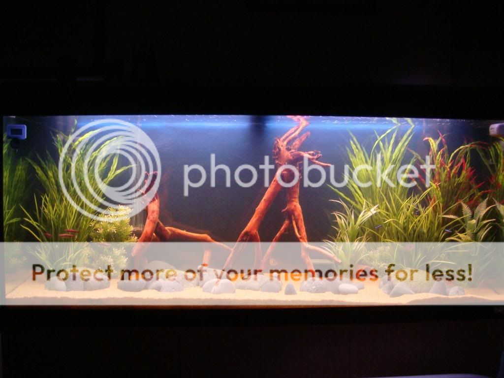 DSC00623.jpg
