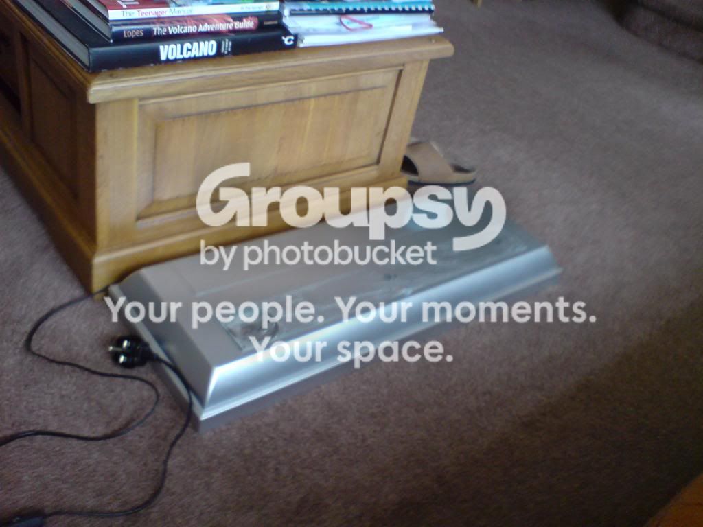 DSC00013.jpg
