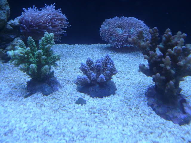 P1060123.jpg
