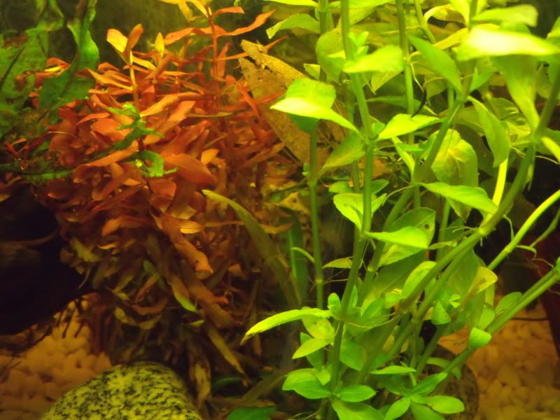 DSCF1760.jpg