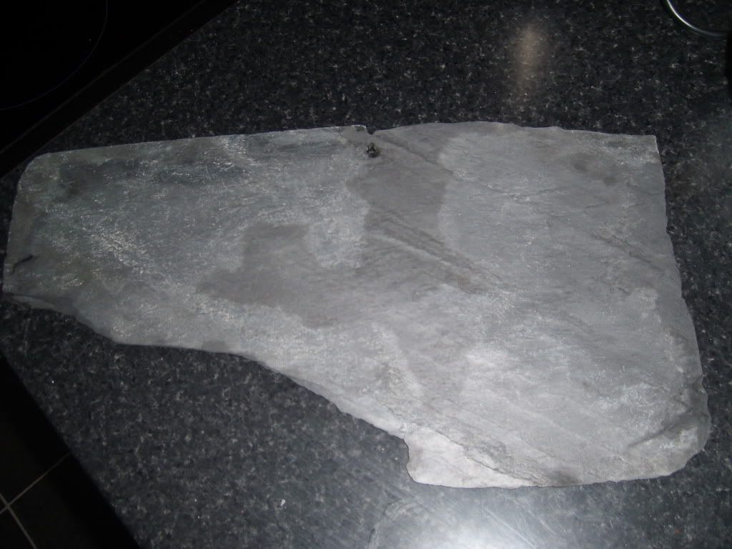 SL730166.jpg