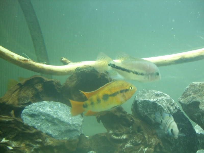 DSCF2169.jpg