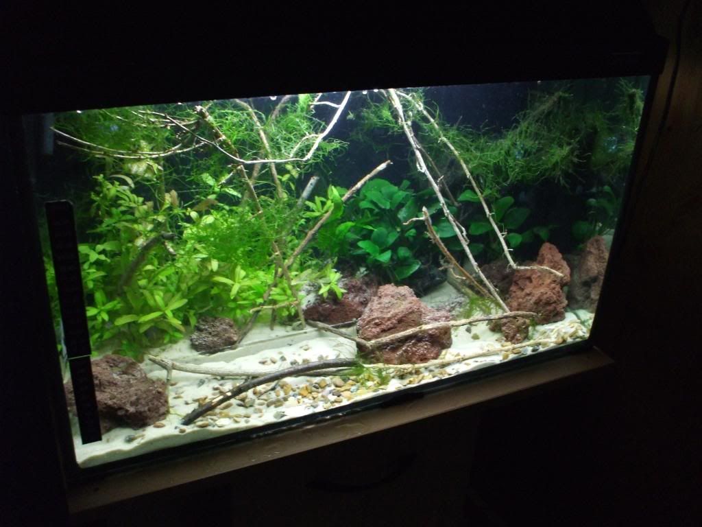 DSCF9590.jpg