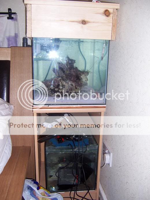 100_3995.jpg