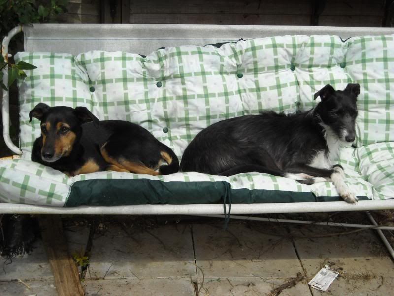 DSCN0436.jpg