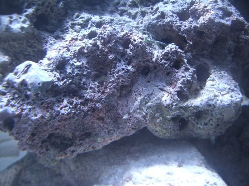 CIMG0770.jpg