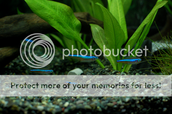 DSC_0206.png