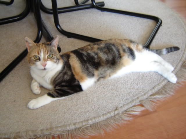 DSC05414.jpg