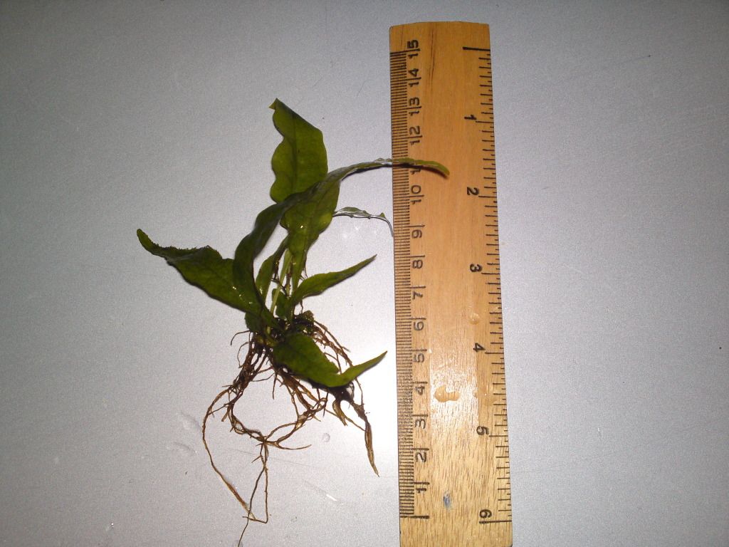 02032012208.jpg