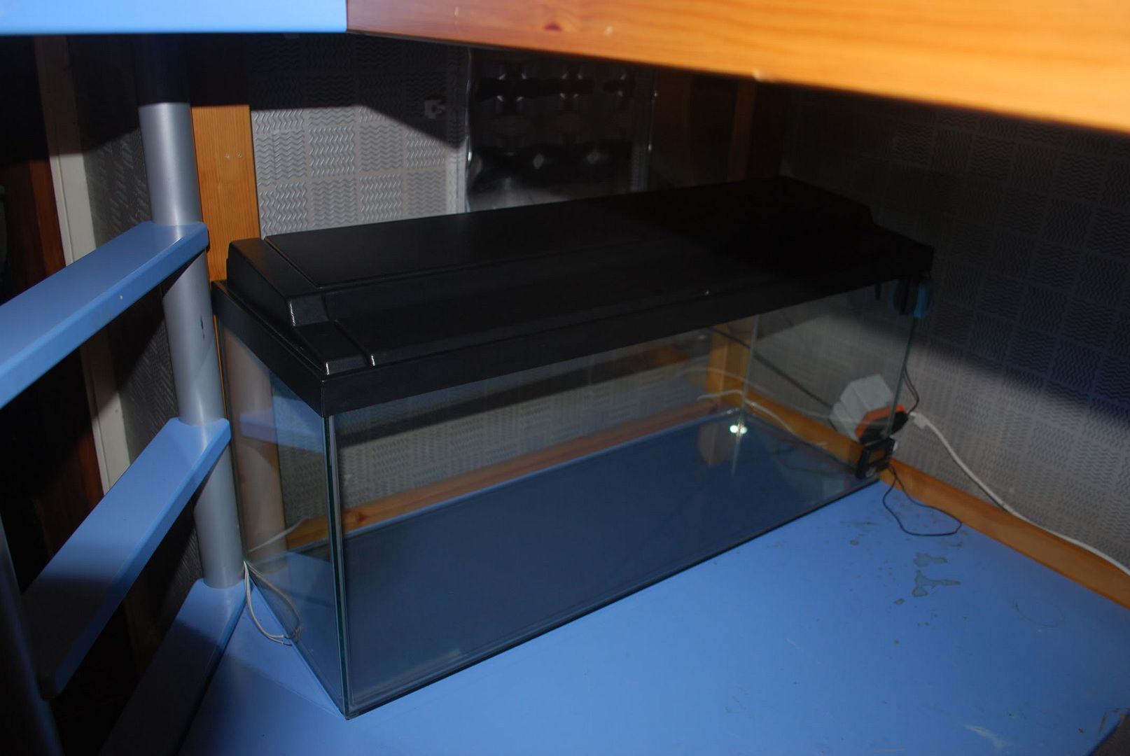 DSC_1985.jpg