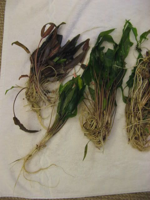 20090502011.jpg