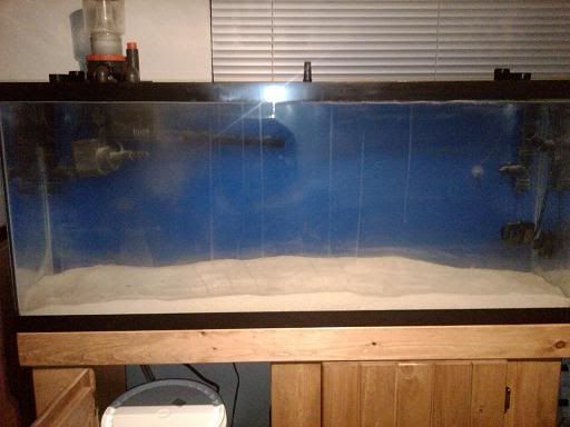 aquariumsand2.jpg