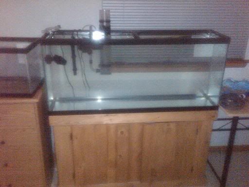 Aquarium1.jpg