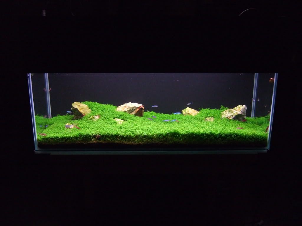 DSCF2457.jpg