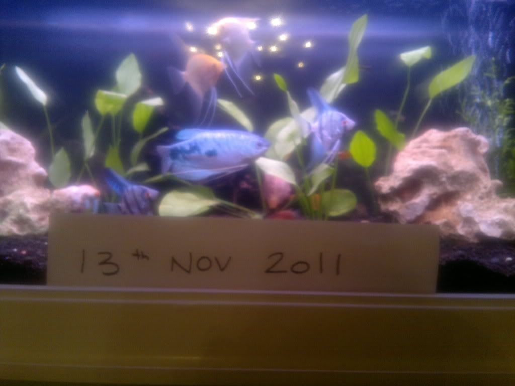 13112011499.jpg