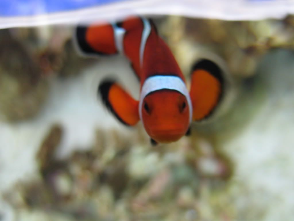 IMG_2865.jpg