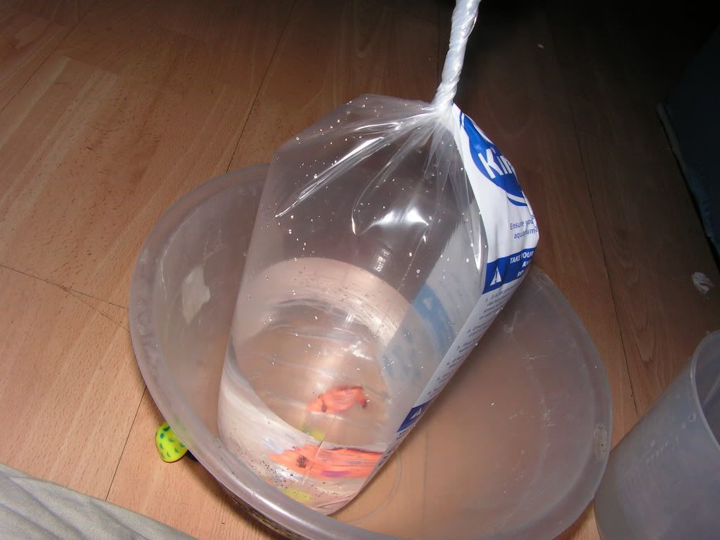 PICT0562.jpg