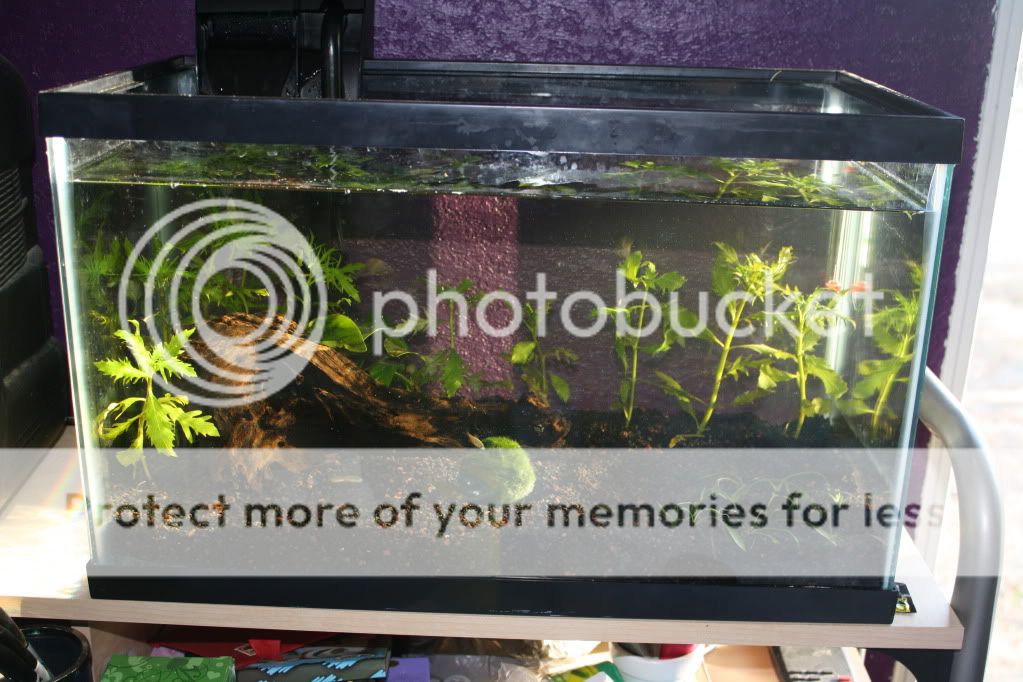 aquariums125.jpg