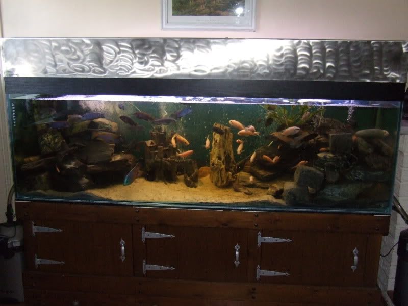 DSCF4583.jpg