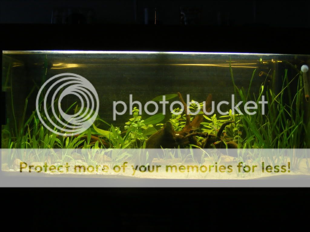 DSCF5924.jpg