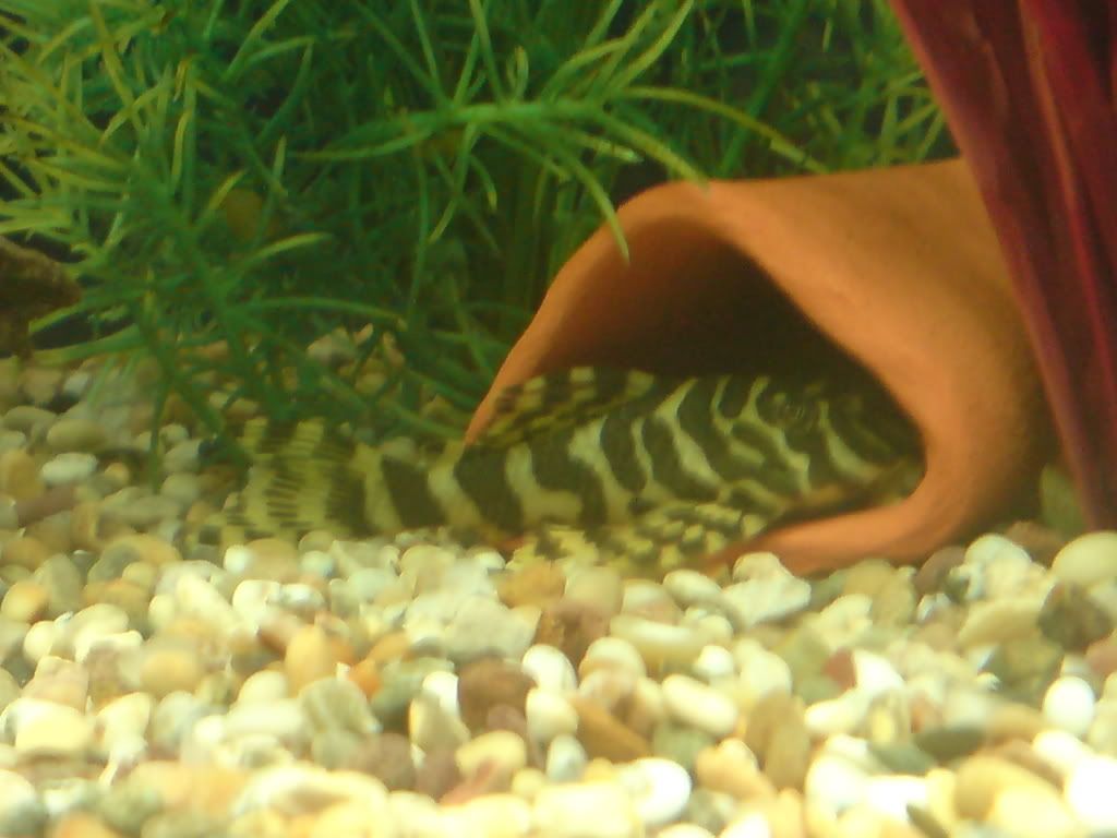 DSC00351.jpg