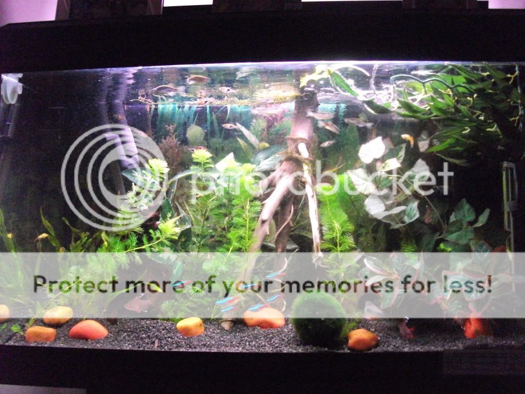 DSCF0318.jpg