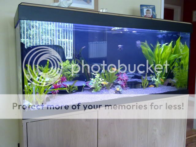 150620111142.jpg