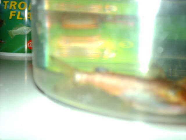 2006_0123new0039.jpg