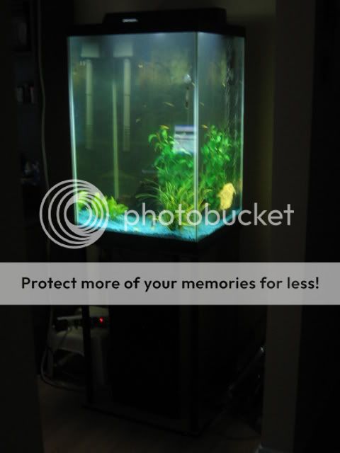 Picture004.jpg
