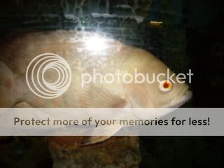 SDC11846.jpg