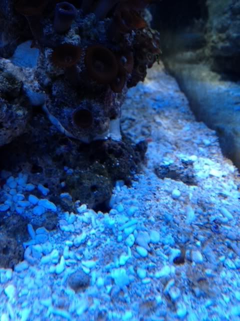 photo2-16.jpg