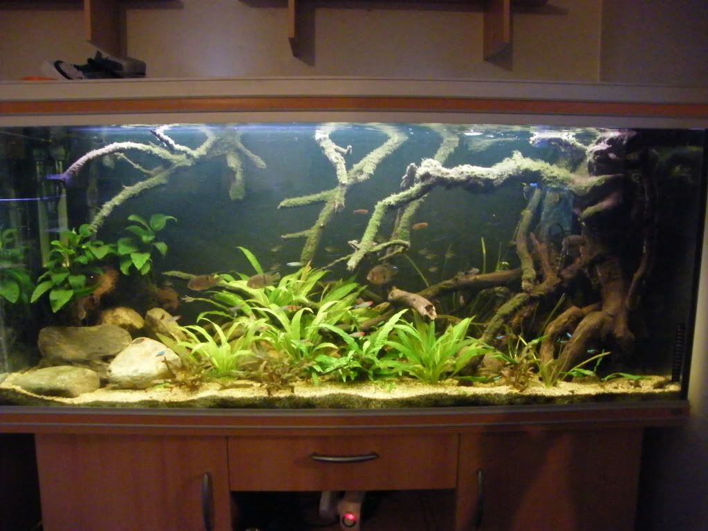 DSCF3756.jpg