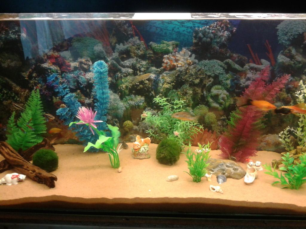 20121015_101051.jpg