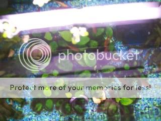 100_0169.jpg