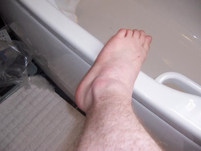 100_3732.jpg