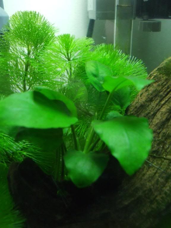 DSCF9798.jpg