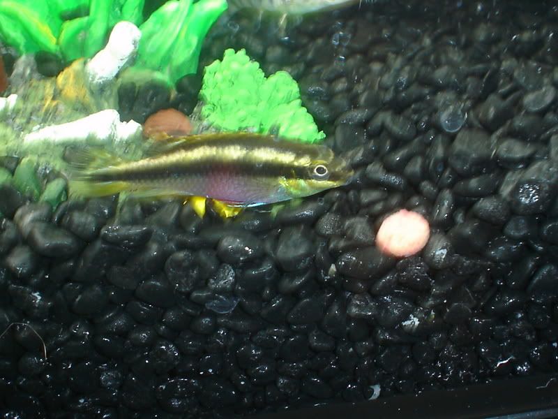 Picture004.jpg
