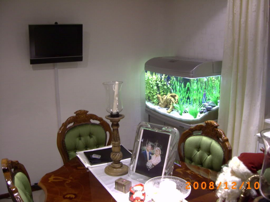 PICT0003-2.jpg