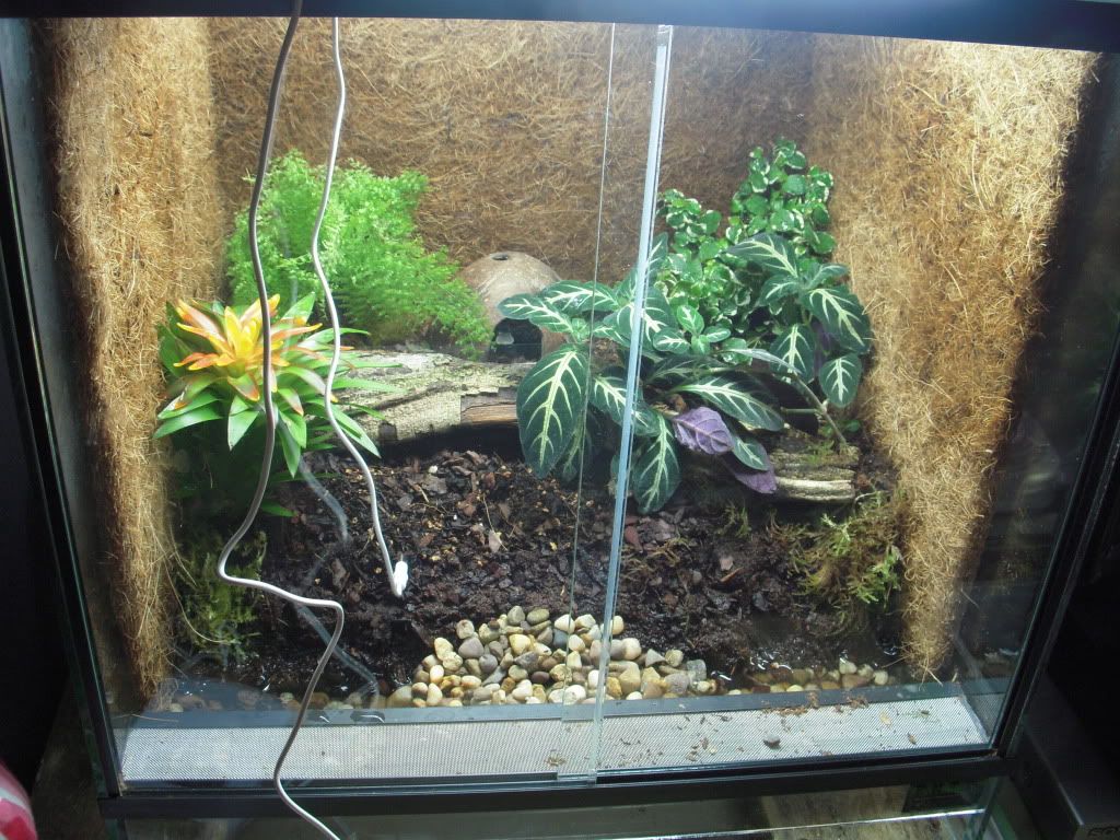 DSCN1909.jpg