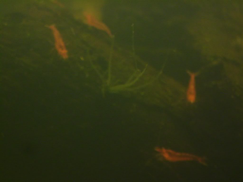 S7003665.jpg