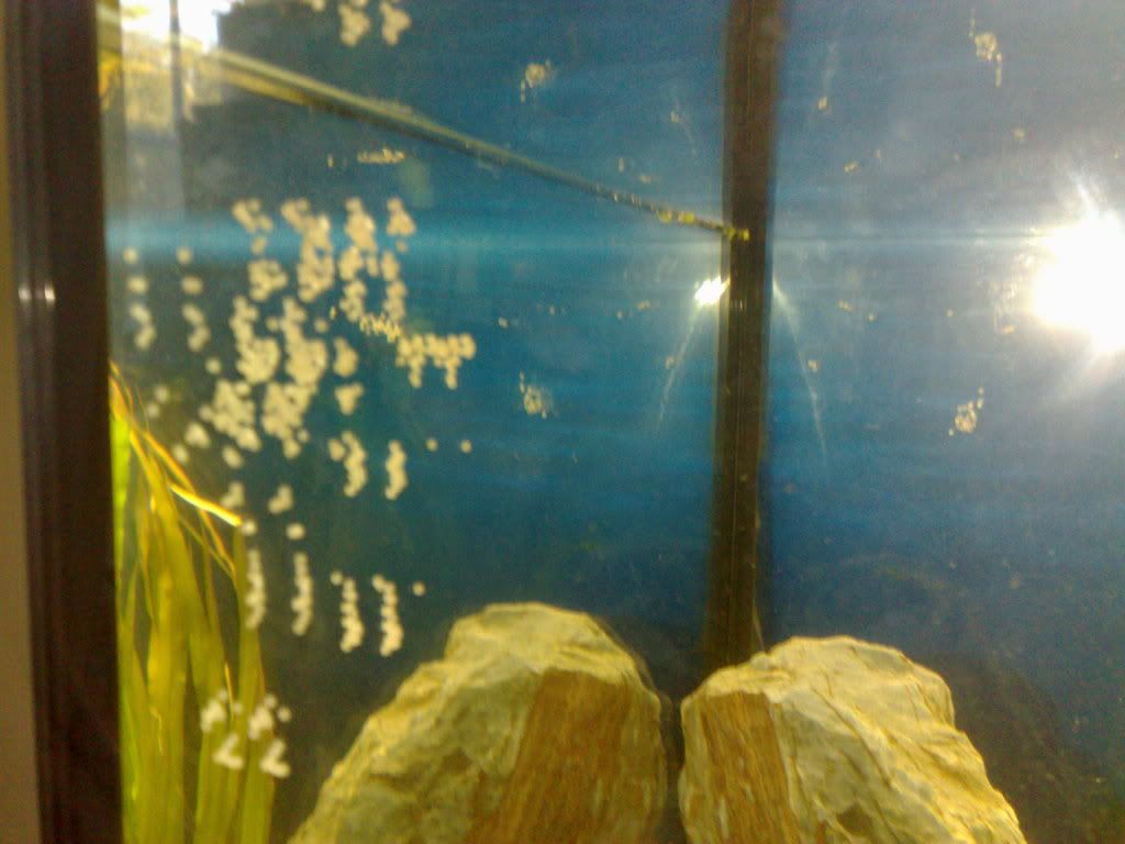 18082010051.jpg