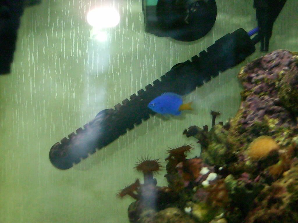 HPIM0338.jpg