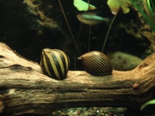 DSC01321.jpg