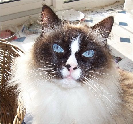 jack216022005.jpg
