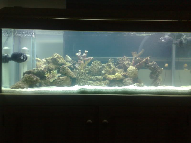 FTS23July.jpg
