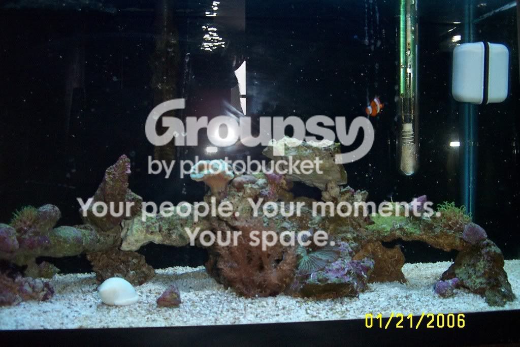 DCP_0038.jpg