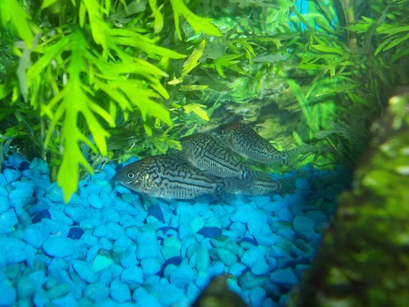 100_0257.jpg