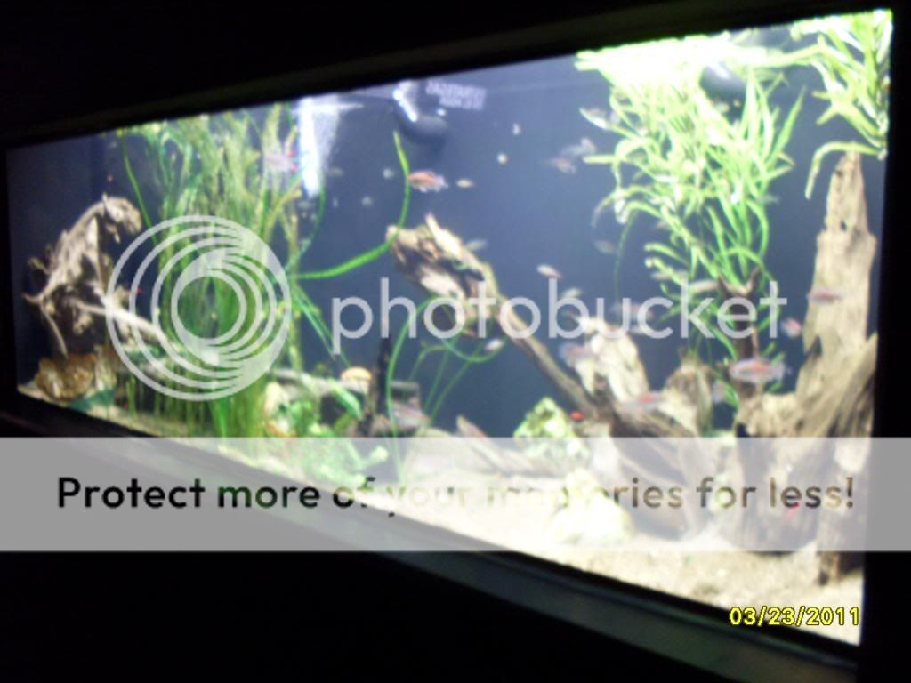 SDC12680.jpg