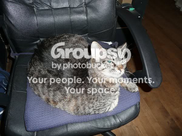 stew7-18-8-1.jpg