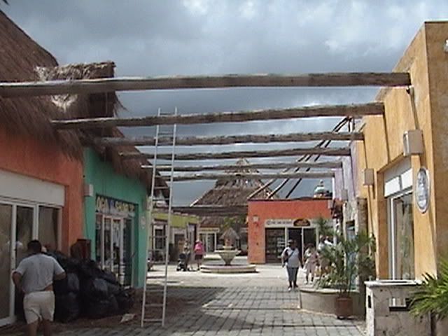 DSC00392.jpg